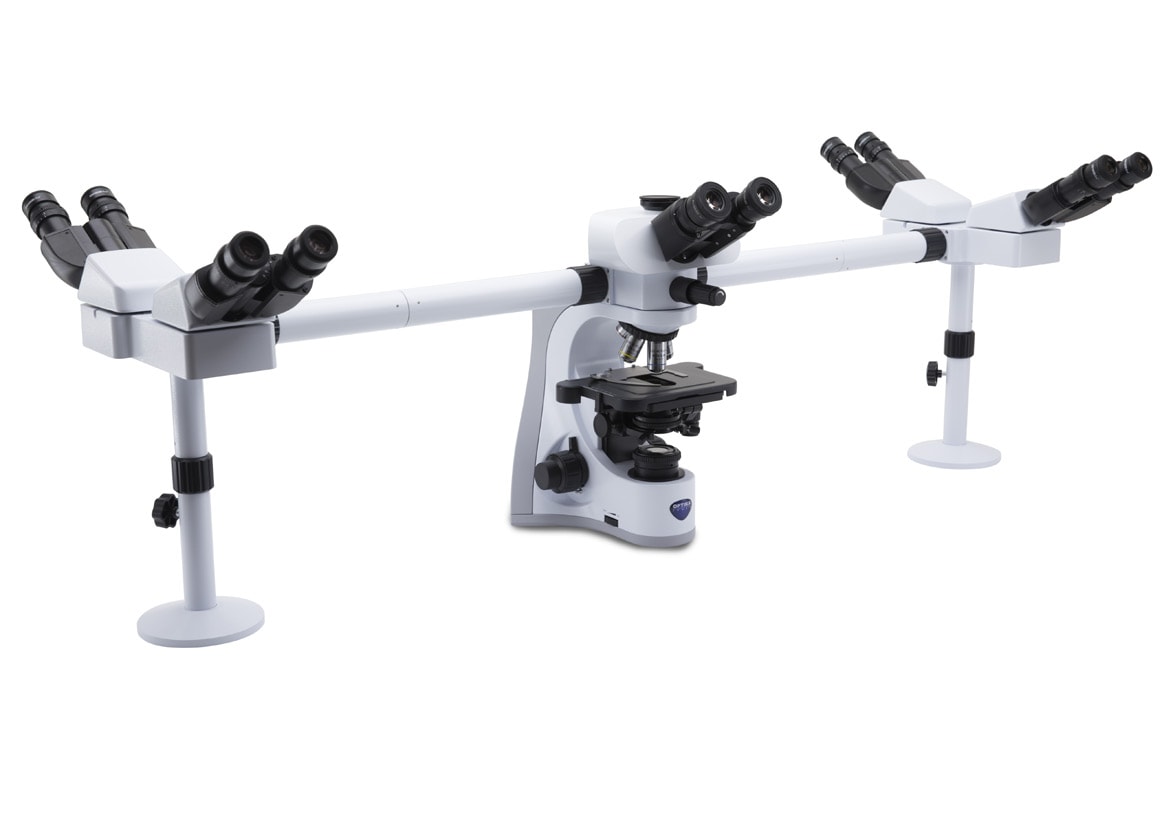Microscopio B-510-5